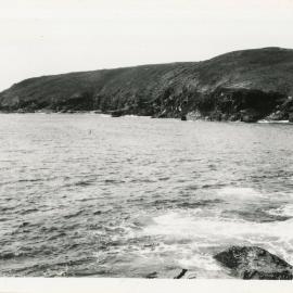 Muttonbird Island