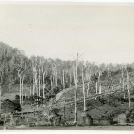 The Maston family farm "Otley", 1936
