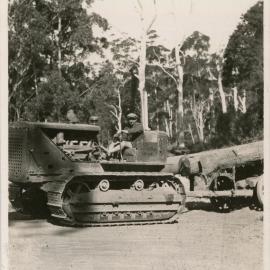A log hauler on the Eastern Dorrigo, 1936