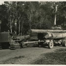 A log hauler on the East Dorrigo Road, 1936