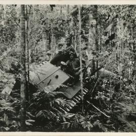  A Caterpillar diesel fifty logging tractor in the rainforest, 1936