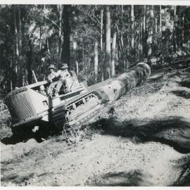 A Caterpillar diesel fifty tractor pulling a log, 1936