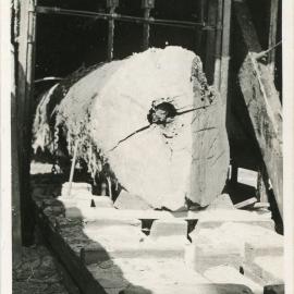 A log ready for cutting, 1936