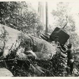 Sawyers in the forest, 1936