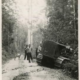 Sawyers on Bucca Road in the forest, 1936