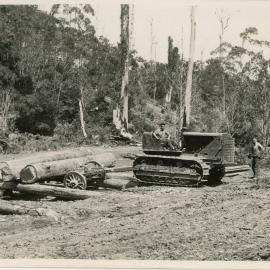 Caterpillar logging tractor rolling logs, 1936