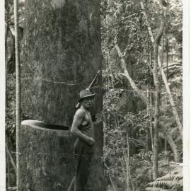 A sawyer is poised on a springboard plank