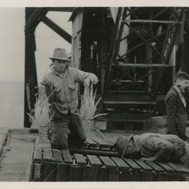 Extracting lobsters at the jetty