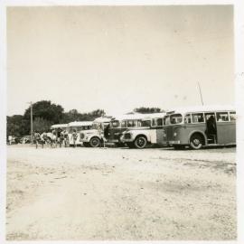 Buses parked in line at the surf carnival