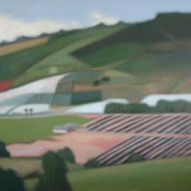 Blueberry farming, Coffs Harbour