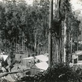 Portion of the settlement at the Bucca Creek mines, 1898