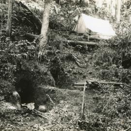 Miner's tent at Bucca Creek, 1898
