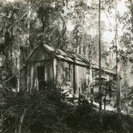 A couple poses outside a miner's hut at Bucca Creek, 1898