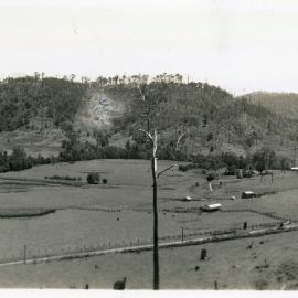 Orara Valley view, 8 January 1947