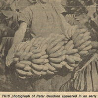 Peter Gaudron