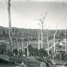 View from Roberts Hill looking east towards Coffs Harbour, June 1924