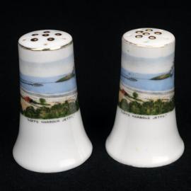 Souvenir Salt and Pepper Shakers