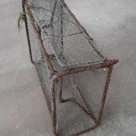 Fish or Turtle Trap