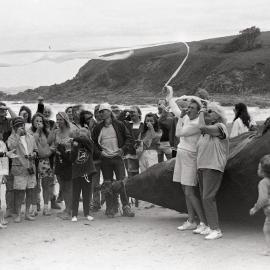 The "excrement" on Emerald Beach, late 1991