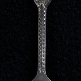 Souvenir Spoon 
