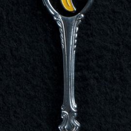 Souvenir Spoon 