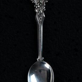 Souvenir Spoon 