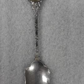 Souvenir Spoon 