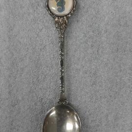 Souvenir Spoon 