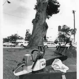 A blackbutt tree awaits its fate, 19 April 1993