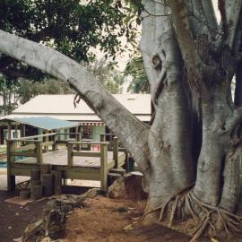 Gamumbi Early Childhood Education Centre