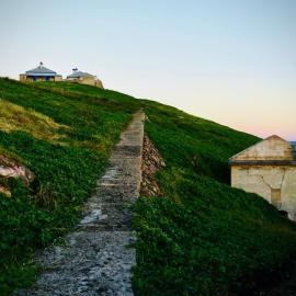 Pathway from the gantry to the cottages, 6 May 2019