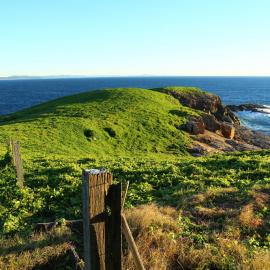 Uninhabited northern side of South Solitary Island, 8 May 2019