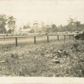 The showground ring, 1920s