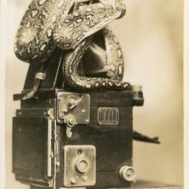 Photograph of Joe Blake on Marie Hunt's camera, c. 1950