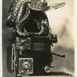 Photograph of Joe Blake on Marie Hunt's camera, c. 1950
