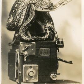 Photograph of Joe Blake on Marie Hunt's camera, c. 1950
