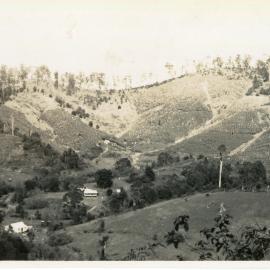 Photograph of View from Reservoir on Red Hill, 1950