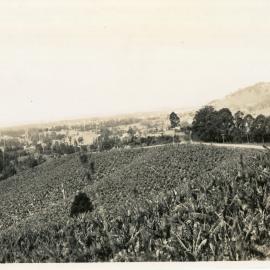 Photograph of Coffs Harbour from Reservoir Site on Red Hill, 1950