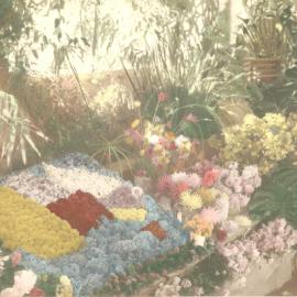 Amassed flower display