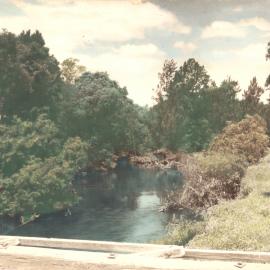 River view from a timber bridge