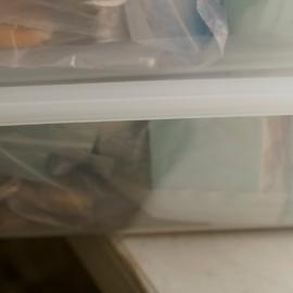 Shells in Container