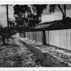 Hailstones outside the Griffiths' family shop, 1962