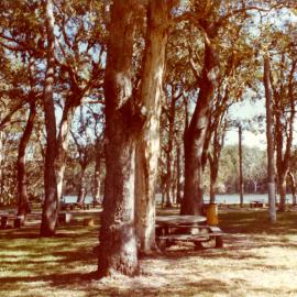 The Woolgoolga Lakeside Reserve area after vegetation clearance, c.1970