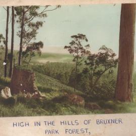 A poem about logging in Bruxner Park