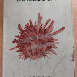 United States Mollusca