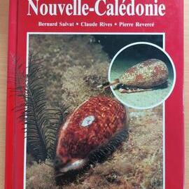 Coquillages de Nouvelle-Caledonie