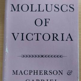 Marine Molluscs of Victoria