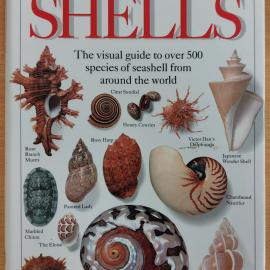 Shells: The visual guide to over 500 species of seashell from around the world
