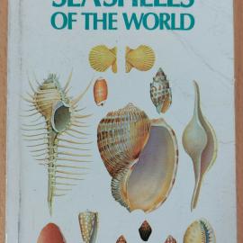 Seashells of the World