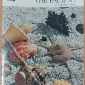 Shells of the Pacific